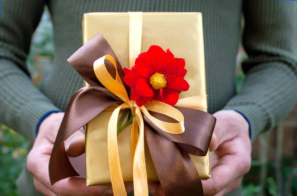 Golden gift with beige and brown ribbons, a red dahlia flower in the middle against the backdrop of greenery in the garden