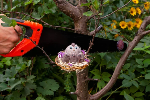 Causing damage by a man with a black file to nature in the face of a bird and small chicks felted from wool. Trying to cut down a tree on the street where they live.