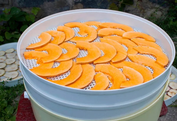 Salting sliced pumpkin pieces in an electronic dryer on the street during the day