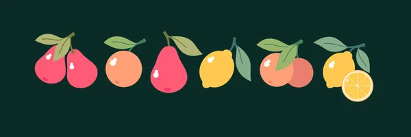 The set consists of various fruits. . Fruit on a branch with leaves. Isolated images on a light background. — Stock Vector