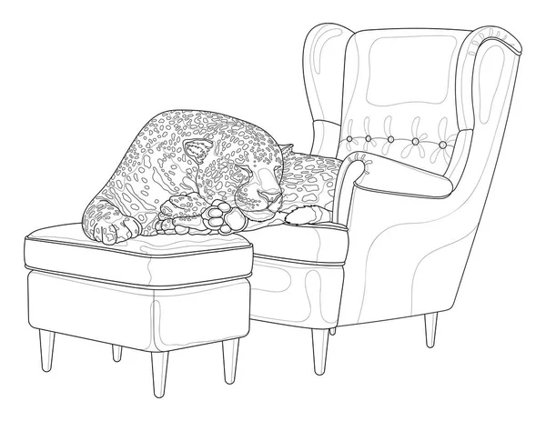 Leopard Sleeps Chair Coloring Book Adults Black White Vector Illustration — ストックベクタ