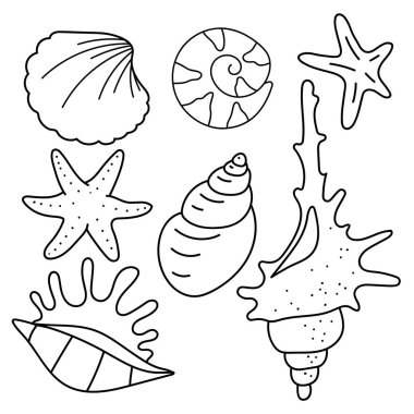 Mermiler. Deniz yıldızı ve deniz kabuklarıyla ayarlanmış. Boyama. Çocuklar için boyama kitabı. Yaz renklendirmesi.