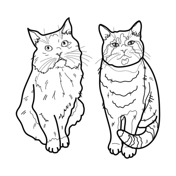 Due Gatti Carini Colorare Illustrazione Vettoriale Bianco Nero — Vettoriale Stock