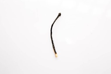 Small burnt wooden match on white background