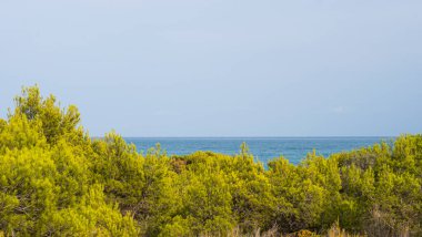 Nature in a Mediterranean coastal landscape