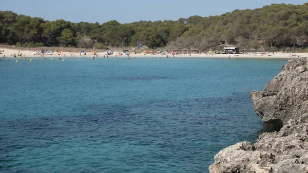 Majorca Beach Next Pine Trees — Foto de Stock