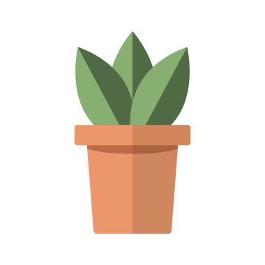 simple plants with green leaves in the pot. Vector illustration