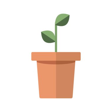 simple plants with green leaves in the pot. Vector illustration