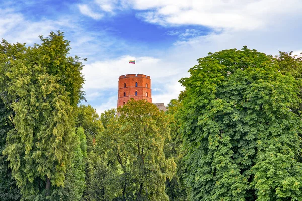 Tower Gediminas Castle Lithuania — ストック写真