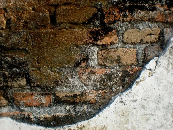 the walls of the old building which are very dull and made of bricks are starting to suffer severe damage due to age and lack of regular maintenance