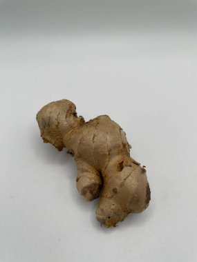ginger root on a brown background, Javanese ginger, indonesian people call it jahe putih, one of kind rizoma that can be herbs or seasoning 