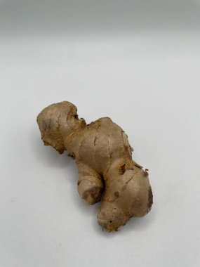 ginger root on a brown background, Javanese ginger, indonesian people call it jahe putih, one of kind rizoma that can be herbs or seasoning 