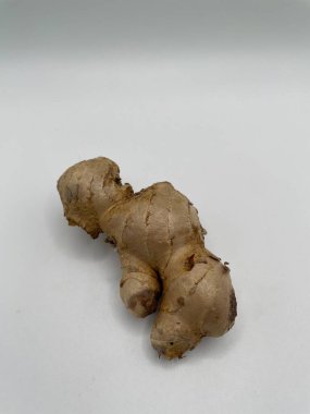 ginger root on a brown background, Javanese ginger, indonesian people call it jahe putih, one of kind rizoma that can be herbs or seasoning 