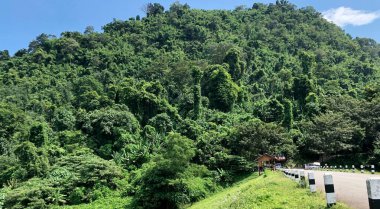 Side of road way to mountain.