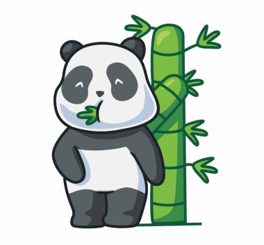 cute panda eating a bamboo at forest