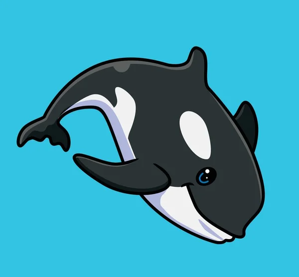 Cute Killer Whale Sea Isolated Cartoon Animal Illustration Flat Style — Image vectorielle
