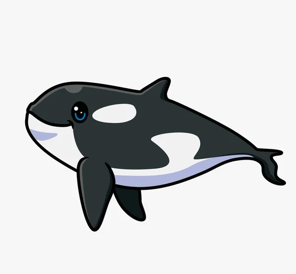 Cute Killer Whale Cartoon Isolated Cartoon Animal Illustration Flat Style — Stockový vektor