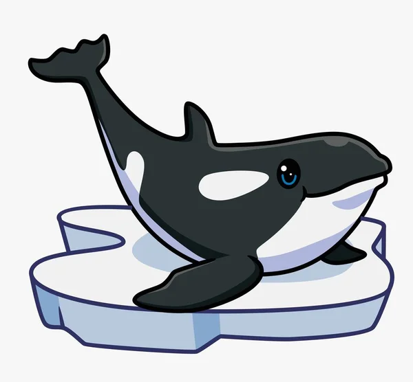 Cute Killer Whale Surface Open His Mouth Isolated Cartoon Animal — 스톡 벡터