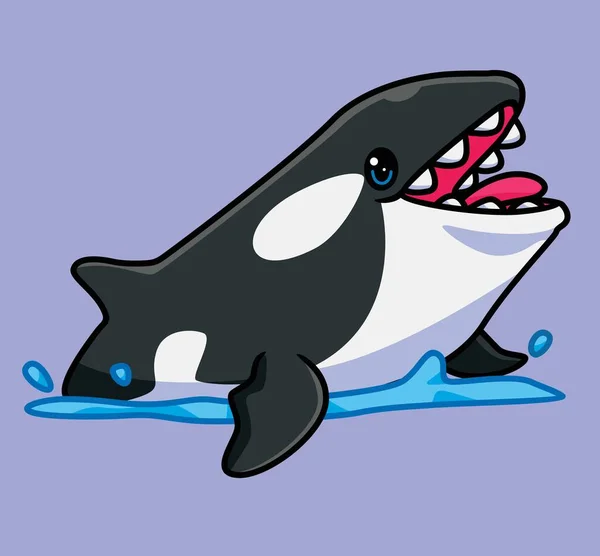 Cute Killer Whale Surface Open His Mouth Isolated Cartoon Animal — Archivo Imágenes Vectoriales