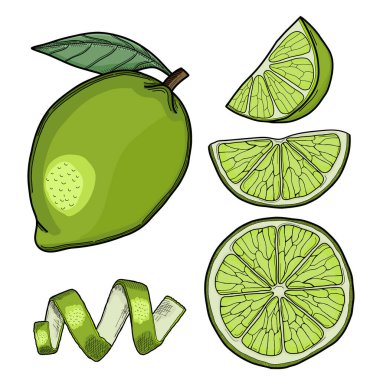 Kireç El Çizim Koleksiyonu İzole Edildi