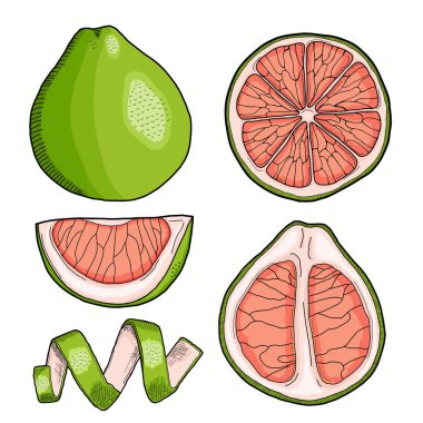 Pomelo El Çizimi Resim Koleksiyonu İzole Edildi