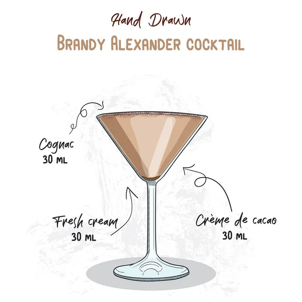 Brandy Coloré Dessiné Main Alexander Summer Cocktail Drink Ingrédients Recette — Image vectorielle