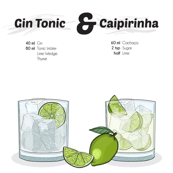 Gim Colorido Desenhado Mão Tonic Caipirinha Coquetel Beber Ingredientes Receita — Vetor de Stock