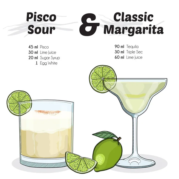 Hand Drawn Colorful Margarita Pisco Sour Summer Cocktail Drink Ingredients — стоковий вектор