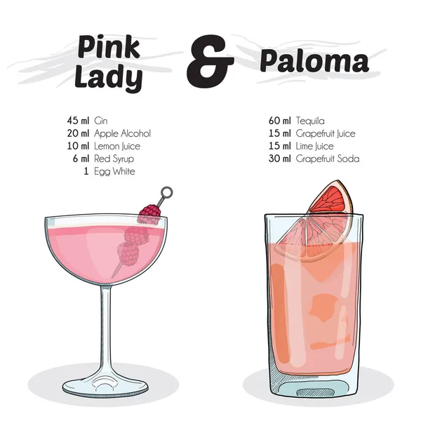 Handgezeichnete Bunte Rosa Dame Und Paloma Cocktail Drink Zutaten Rezept — Stockvektor