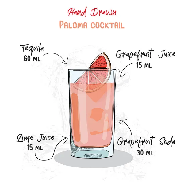 Hand Drawn Colorful Paloma Summer Cocktail Drink Ingredients Handwritten Recipe — Stock Vector