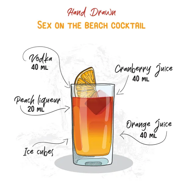 Dibujado Mano Colorido Sexo Playa Verano Cóctel Bebida Ingredientes Receta — Vector de stock