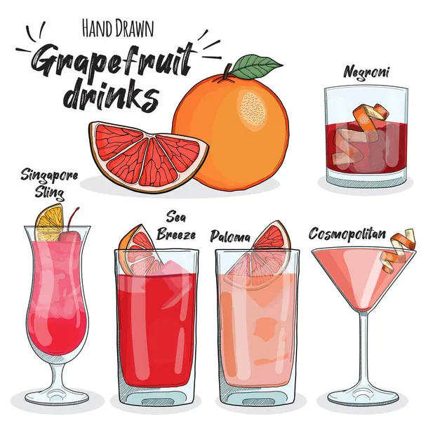 Grapefruit Drinks Set Negroni Singapore Sling Sea Breeze Paloma Cosmopolitan — Stock Vector