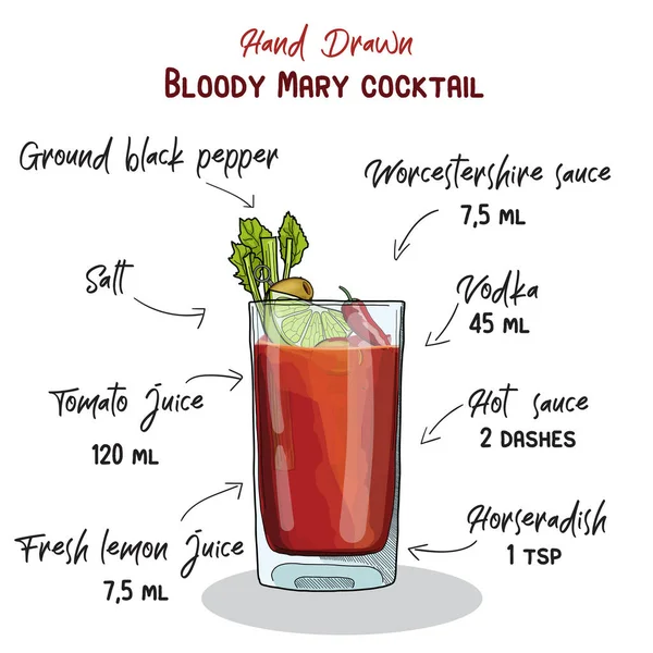 Dessiné Main Coloré Bloody Mary Summer Cocktail Boisson Ingrédients Recette — Image vectorielle