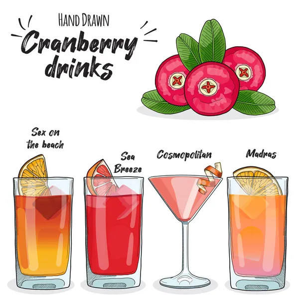 Cranberry Ποτά Set Sex Στην Παραλία Sea Breeze Madras Και — Διανυσματικό Αρχείο