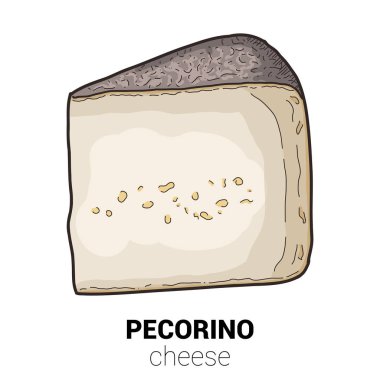 Pecorino Sheep Cheese Colorful Vector Illustration clipart
