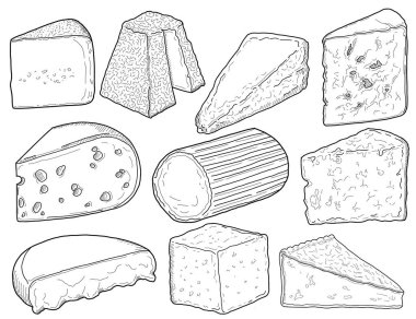 Peynir Tipleri Koleksiyonu Siyah ve Beyaz El Çizim Seti