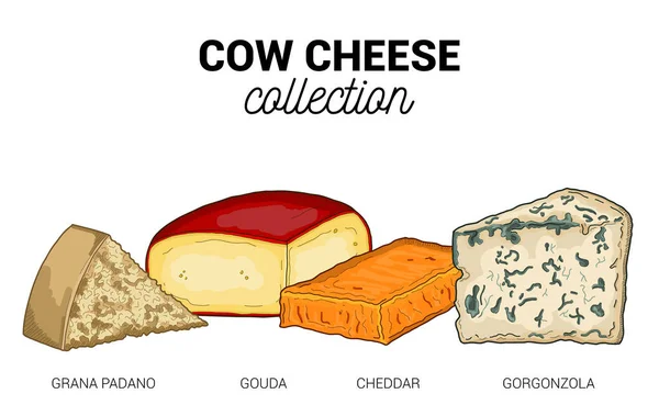 Cow Cheese Typer Collection Färgglada Hand Tecknad Illustration Set — Stock vektor