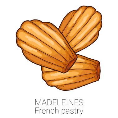 Madeleines French Pastry Pattiserie Cake Colorful Vector Illustration clipart