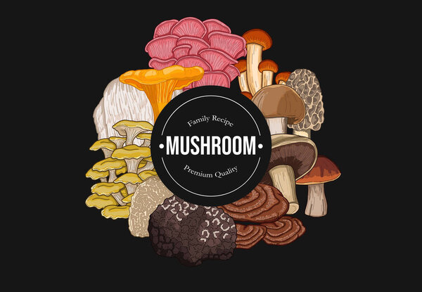 Mushrooms Horizontal Banner Collection Colorful Vector Illustration Set with badge