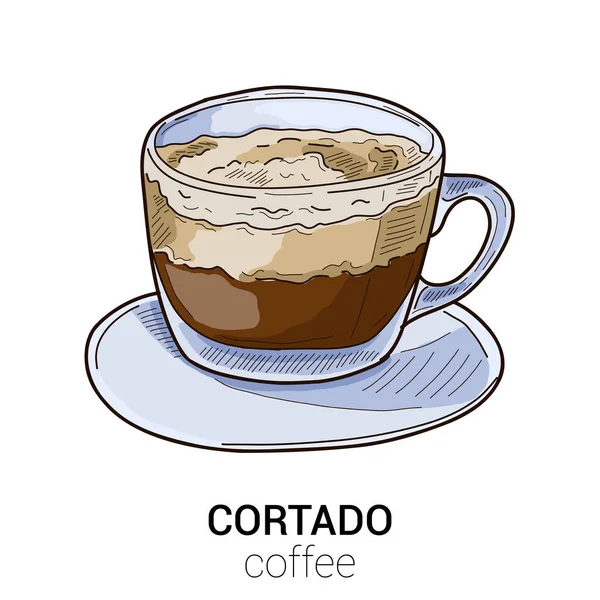 Cortado Kahve Renkli Vektör Llüstrasyonu Zole Edildi — Stok Vektör