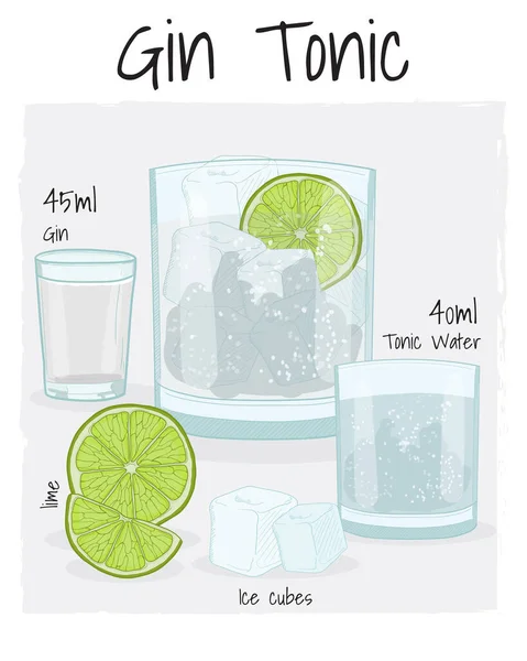 Gin Tonic Cocktail Ilustración Receta Bebida Con Ingredientes — Archivo Imágenes Vectoriales