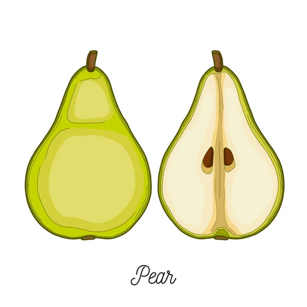 Pear Fruit Illustration Hand Drawn - Stok Vektor