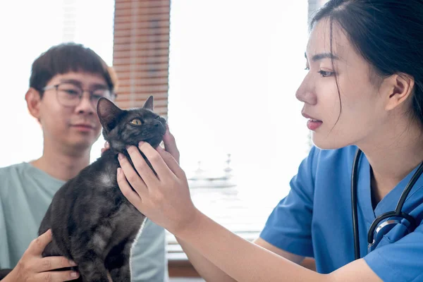 Veterinarian Woman Blue Uniform Checks Health Pet Appointment Metal Table — Stockfoto
