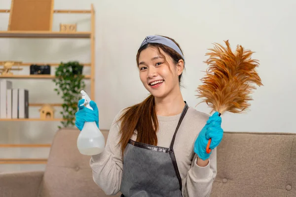 Housekeeper is wear protective gloves to holding feather duster and cleanser bottle for cleanups and dusting in living room while working to perform routine house cleaning.