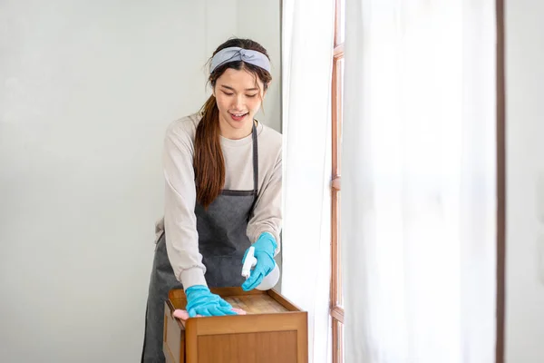 Housekeeper Wearing Protective Gloves Using Microfiber Cloth Spray Cleanser Cleanups —  Fotos de Stock