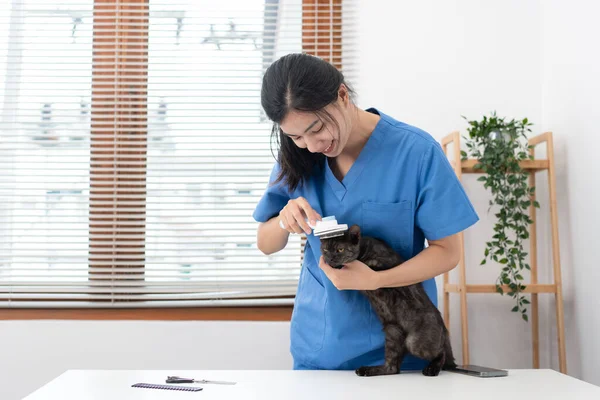 Veterinarian Woman Blue Uniform Using Comb Brush Fur Cat Metal — Stockfoto