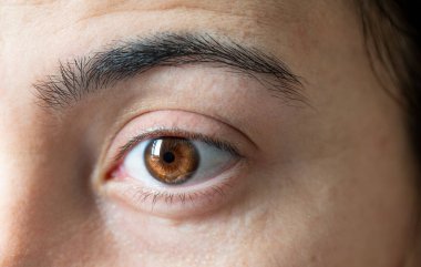 Close up photo of a young adult woman brown eye and eyebrow.