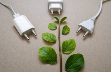 Close up photo of multiple unplugged charging sockets and green leaves. Concept of energy saving and reduce electricity usage.