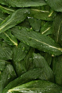 Top view macro photo green mint leaves.
