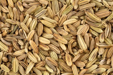 Top view macro photo of dried fennel seeds.